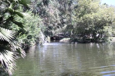 Enlarge photo 54