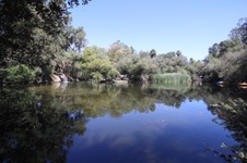 Enlarge photo 2