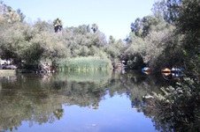 Enlarge photo 55