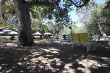 Enlarge photo 56