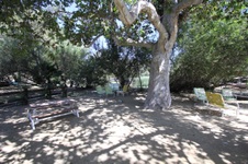 Enlarge photo 60