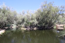 Enlarge photo 62