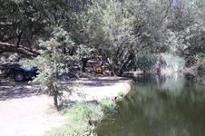 Enlarge photo 63