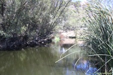 Enlarge photo 64