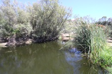 Enlarge photo 65