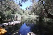Enlarge photo 66