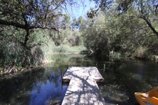 Enlarge photo 67