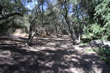 Enlarge photo 68
