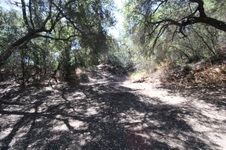 Enlarge photo 69