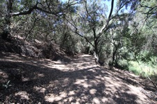 Enlarge photo 71