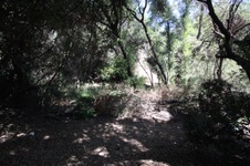 Enlarge photo 72