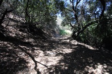 Enlarge photo 73