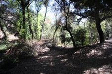 Enlarge photo 74