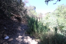 Enlarge photo 75