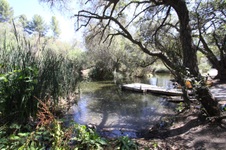 Enlarge photo 76
