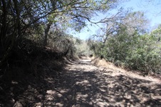 Enlarge photo 78