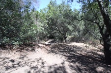 Enlarge photo 79