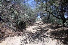 Enlarge photo 80