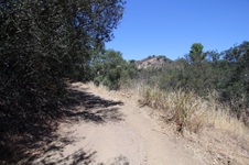 Enlarge photo 81