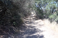 Enlarge photo 82