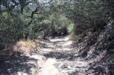 Enlarge photo 83