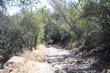 Enlarge photo 84