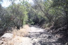 Enlarge photo 85