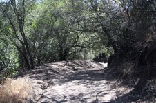 Enlarge photo 86