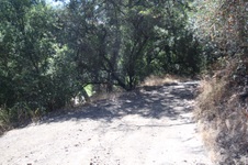 Enlarge photo 87