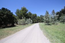 Disney Ranch