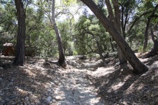 Enlarge photo 18