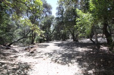 Enlarge photo 19