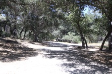 Enlarge photo 27