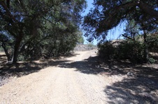 Enlarge photo 30