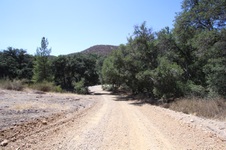 Enlarge photo 33