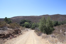Enlarge photo 36