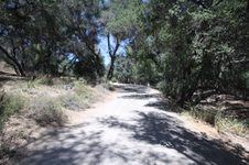 Enlarge photo 38