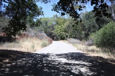 Enlarge photo 39