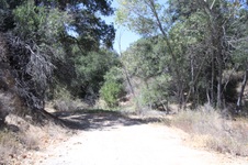 Enlarge photo 40