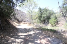 Enlarge photo 41