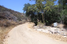Enlarge photo 42