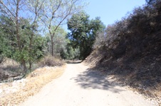 Enlarge photo 43