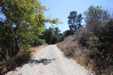Enlarge photo 44