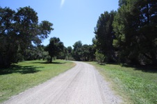 Enlarge photo 45