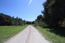 Enlarge photo 46