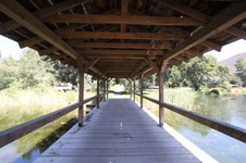 Enlarge photo 54