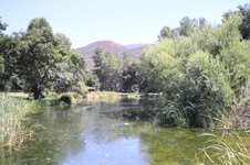 Enlarge photo 55