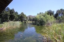 Enlarge photo 56