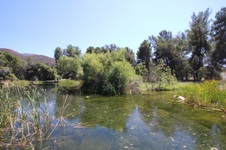 Enlarge photo 57