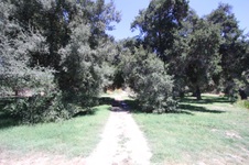 Enlarge photo 58